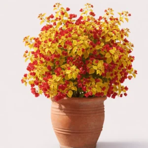 golden butter cup 2 (copy)